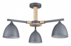 Люстра на штанге Lumion Colange 8096/3C в Пойковском - poikovskii.mebel24.online | фото