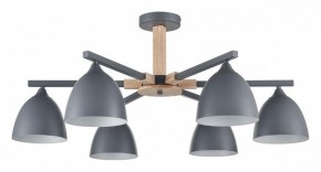 Люстра на штанге Lumion Colange 8096/6C в Пойковском - poikovskii.mebel24.online | фото