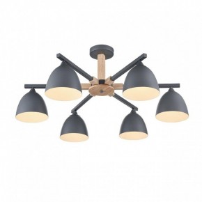 Люстра на штанге Lumion Colange 8096/6C в Пойковском - poikovskii.mebel24.online | фото 3