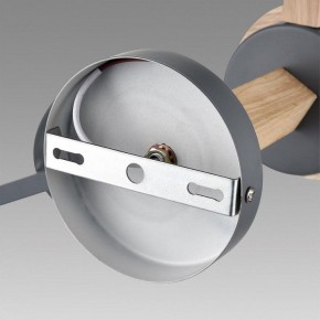Люстра на штанге Lumion Colange 8096/6C в Пойковском - poikovskii.mebel24.online | фото 6