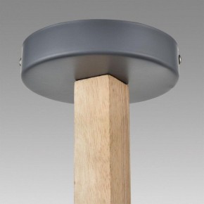 Люстра на штанге Lumion Colange 8096/6C в Пойковском - poikovskii.mebel24.online | фото 9
