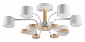 Люстра на штанге Lumion Rondo 8231/6C в Пойковском - poikovskii.mebel24.online | фото