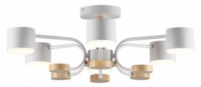 Люстра на штанге Lumion Rondo 8231/6C в Пойковском - poikovskii.mebel24.online | фото 2