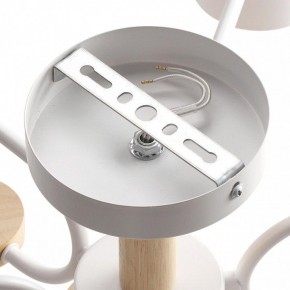 Люстра на штанге Lumion Rondo 8231/6C в Пойковском - poikovskii.mebel24.online | фото 6
