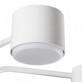 Люстра на штанге Lumion Rondo 8231/6C в Пойковском - poikovskii.mebel24.online | фото 7