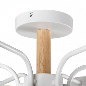 Люстра на штанге Lumion Rondo 8231/6C в Пойковском - poikovskii.mebel24.online | фото 8