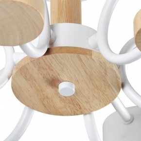 Люстра на штанге Lumion Rondo 8231/6C в Пойковском - poikovskii.mebel24.online | фото 9
