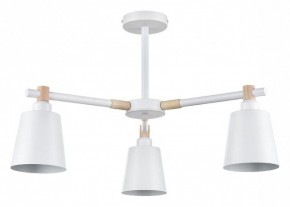 Люстра на штанге Lumion Rosalina 8097/3C в Пойковском - poikovskii.mebel24.online | фото