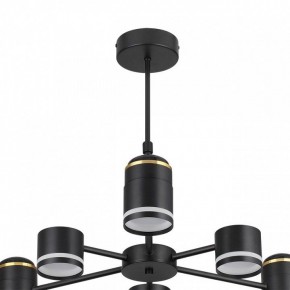 Люстра на штанге Lumion Virsava 8234/6C в Пойковском - poikovskii.mebel24.online | фото 5
