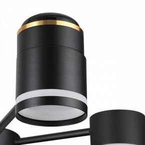 Люстра на штанге Lumion Virsava 8234/6C в Пойковском - poikovskii.mebel24.online | фото 8