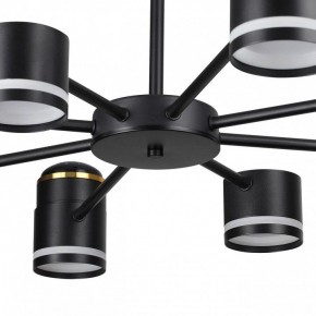 Люстра на штанге Lumion Virsava 8234/8C в Пойковском - poikovskii.mebel24.online | фото 10