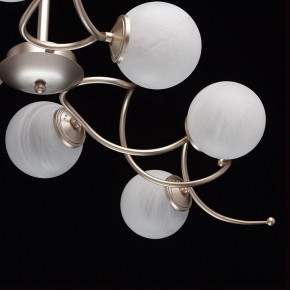 Люстра на штанге MW-Light Оливия 5 306012709 в Пойковском - poikovskii.mebel24.online | фото 10