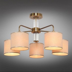 Люстра на штанге Omnilux Barumini OML-56907-05 в Пойковском - poikovskii.mebel24.online | фото 2