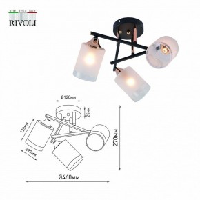 Люстра на штанге Rivoli Fiona Б0059259 в Пойковском - poikovskii.mebel24.online | фото