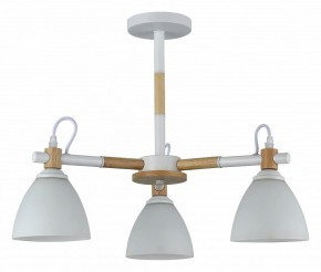 Люстра на штанге Rivoli Louise Б0060982 в Пойковском - poikovskii.mebel24.online | фото
