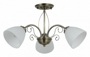 Люстра на штанге Rivoli Sue Б0060985 в Пойковском - poikovskii.mebel24.online | фото