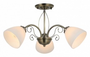 Люстра на штанге Rivoli Sue Б0060985 в Пойковском - poikovskii.mebel24.online | фото 2