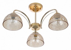 Люстра на штанге Rivoli Terri Б0060988 в Пойковском - poikovskii.mebel24.online | фото 2