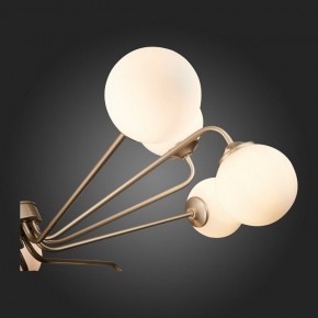Люстра на штанге ST-Luce Redjino SLE106203-12 в Пойковском - poikovskii.mebel24.online | фото 7