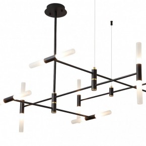 Люстра на штанге ST-Luce  SL1216.403.16 в Пойковском - poikovskii.mebel24.online | фото 3