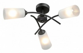 Люстра на штанге Vitaluce V2850 V2850-1/3PL в Пойковском - poikovskii.mebel24.online | фото 2