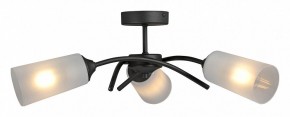 Люстра на штанге Vitaluce V2850 V2850-1/3PL в Пойковском - poikovskii.mebel24.online | фото 3