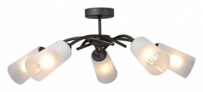 Люстра на штанге Vitaluce V2850 V2850-1/5PL в Пойковском - poikovskii.mebel24.online | фото
