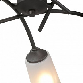 Люстра на штанге Vitaluce V2850 V2850-1/5PL в Пойковском - poikovskii.mebel24.online | фото 6