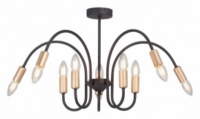 Люстра на штанге Vitaluce V3026 V3026-1/10PL в Пойковском - poikovskii.mebel24.online | фото 2