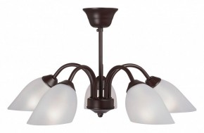Люстра на штанге Vitaluce V3335 V3335-7/5PL в Пойковском - poikovskii.mebel24.online | фото