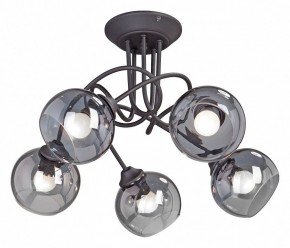 Люстра на штанге Vitaluce  V4309-1/5PL в Пойковском - poikovskii.mebel24.online | фото