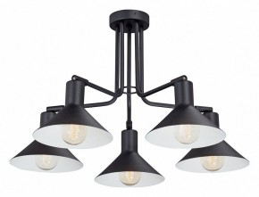 Люстра на штанге Vitaluce V4809 V4809-1/5PL в Пойковском - poikovskii.mebel24.online | фото