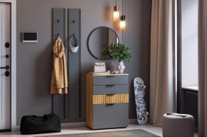 МЕБЕЛЬСОН К21 Прихожая  (графит) в Пойковском - poikovskii.mebel24.online | фото