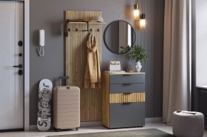 МЕБЕЛЬСОН К3 Прихожая (графит) в Пойковском - poikovskii.mebel24.online | фото