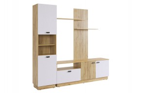 МОДИ К1 Гостиная (белое дерево) в Пойковском - poikovskii.mebel24.online | фото 6