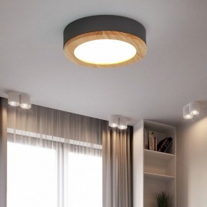 Накладной светильник Imperiumloft Wudda Серый WUDDA01 в Пойковском - poikovskii.mebel24.online | фото 4