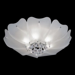 Накладной светильник Lightstar Lobo 804020 в Пойковском - poikovskii.mebel24.online | фото 2