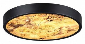 Накладной светильник Odeon Light Bergi 5064/24L в Пойковском - poikovskii.mebel24.online | фото 5