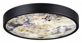 Накладной светильник Odeon Light Bergi 5064/30L в Пойковском - poikovskii.mebel24.online | фото 4