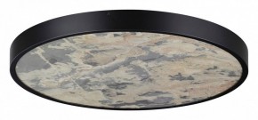 Накладной светильник Odeon Light Bergi 5064/50L в Пойковском - poikovskii.mebel24.online | фото 3