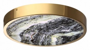Накладной светильник Odeon Light Bergi 5079/30L в Пойковском - poikovskii.mebel24.online | фото 3