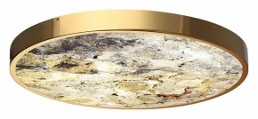 Накладной светильник Odeon Light Bergi 5079/50L в Пойковском - poikovskii.mebel24.online | фото 5