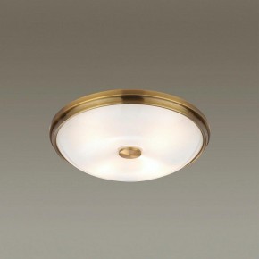 Накладной светильник Odeon Light Pelow 4956/4 в Пойковском - poikovskii.mebel24.online | фото 2