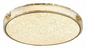 Накладной светильник Sonex Felice 7722/140L в Пойковском - poikovskii.mebel24.online | фото 4