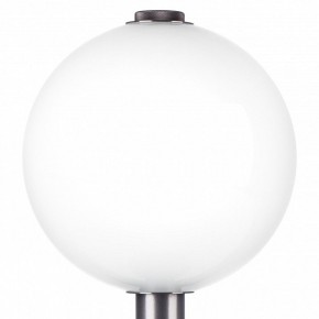 Настольная лампа декоративная Lightstar Colore 805916 в Пойковском - poikovskii.mebel24.online | фото 6