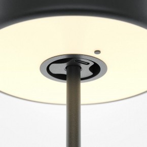 Настольная лампа декоративная Maytoni AI Collaboration MOD229TL-L3B3K2 в Пойковском - poikovskii.mebel24.online | фото 5
