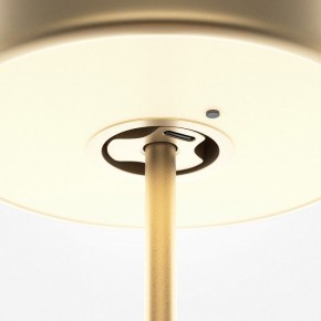 Настольная лампа декоративная Maytoni AI Collaboration MOD229TL-L3G3K2 в Пойковском - poikovskii.mebel24.online | фото 5
