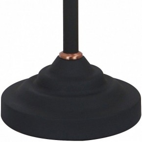 Настольная лампа офисная Arte Lamp Braccio A2054LT-1BK в Пойковском - poikovskii.mebel24.online | фото 4
