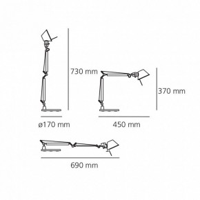 Настольная лампа офисная Artemide  0011860A в Пойковском - poikovskii.mebel24.online | фото