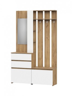 НЕКСТ 1 Вешалка с зеркалом + Шкаф 2-х ств. с ящиками в Пойковском - poikovskii.mebel24.online | фото 4